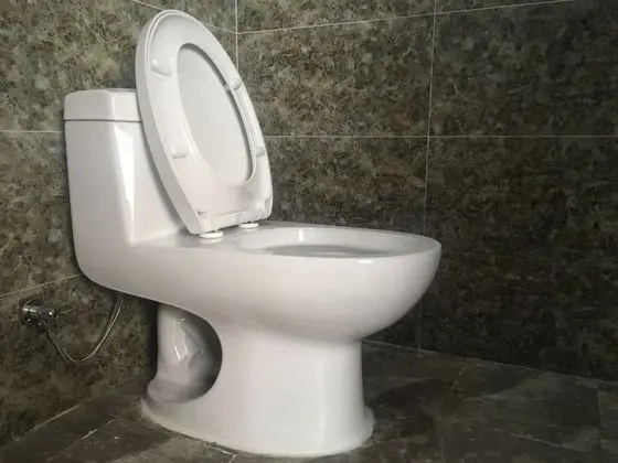 Elite Süit