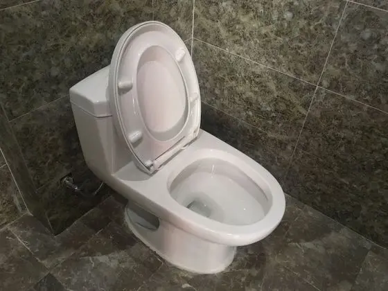 Luxury Süit