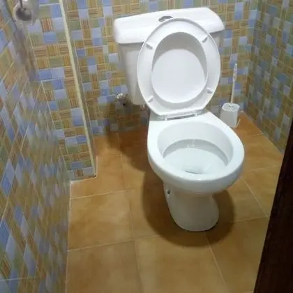 Standard Oda