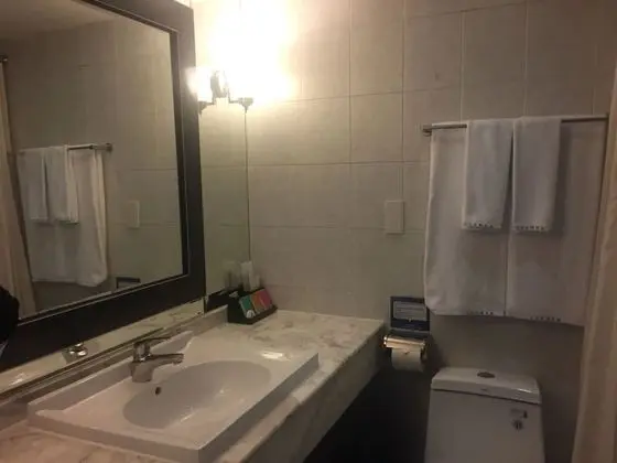 Superior Tek Büyük Yataklı Oda