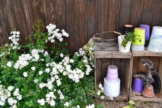 Tek Büyük Yataklı Oda, Banyolu/Duşlu, Havuz Manzaralı (Oleron)