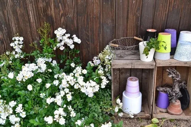 Tek Büyük Yataklı Oda, Banyolu/Duşlu, Nehir Manzaralı (Ile De Re)