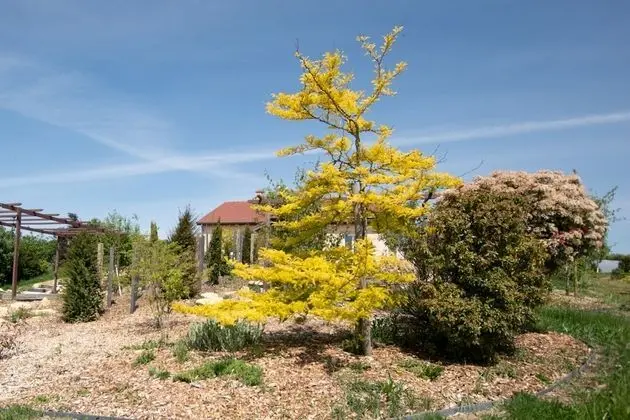 Comfort Ev, Engellilere Uygun, Banyolu/Duşlu