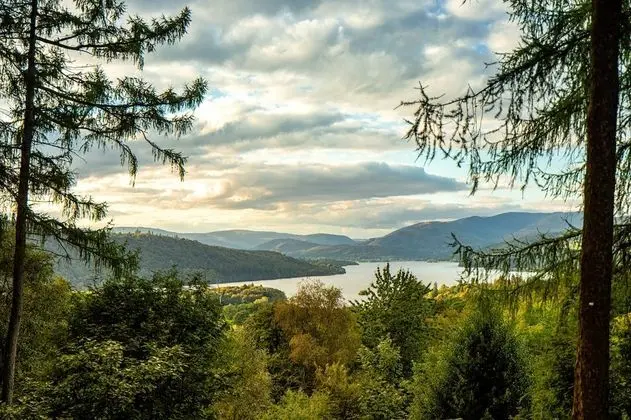 Superior Oda, 1 Çift Kişilik Yatak