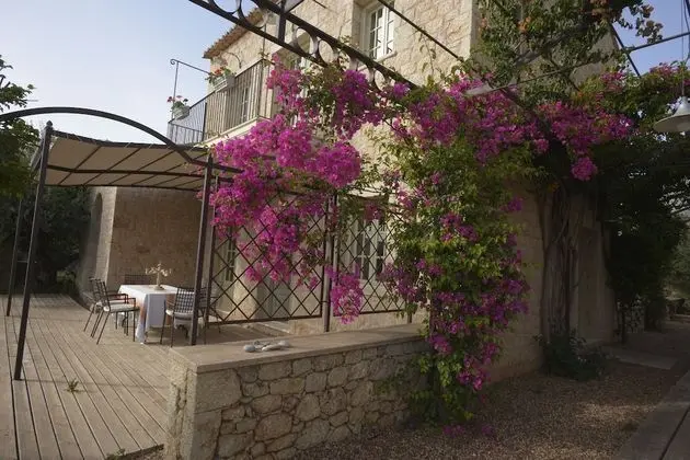 Exclusive Villa