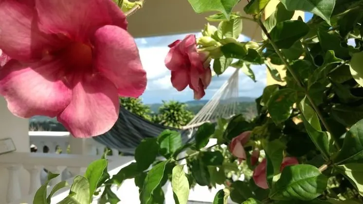 Panoramic Tek Büyük Yataklı Oda, Balkon, Kısmi Deniz Manzaralı