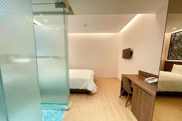 Deluxe İki Ayrı Yataklı Oda, Penceresiz