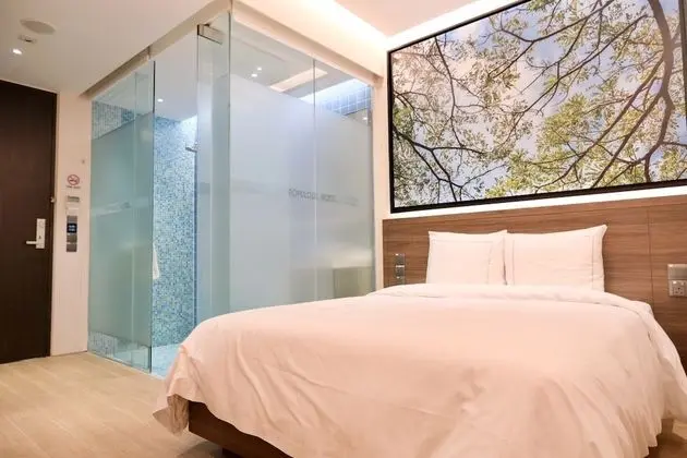 Deluxe Tek Büyük Yataklı Oda, Penceresiz