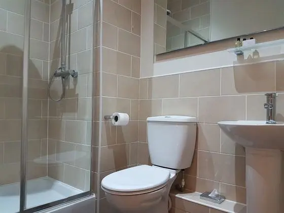 Superior Tek Büyük Yataklı Oda, Banyolu/Duşlu