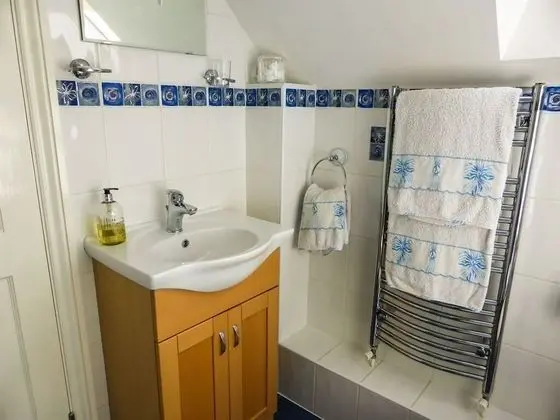 Tek Büyük Yataklı Oda, Banyolu/Duşlu