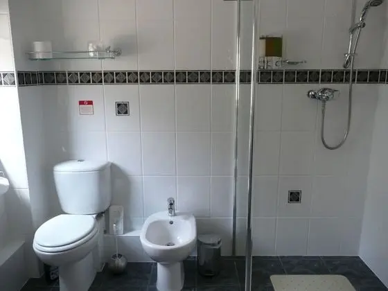 Tek Büyük Yataklı Oda, Banyolu/Duşlu (Super)