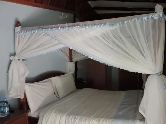 Deluxe Tek Büyük Yataklı Oda, Veranda