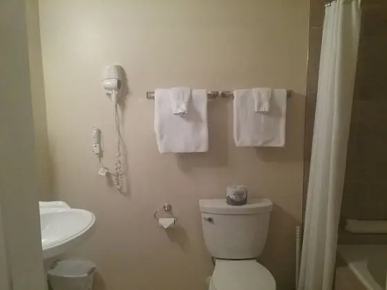 Luxury Süit, 1 Büyük (Queen) Boy Yatak, Jakuzi