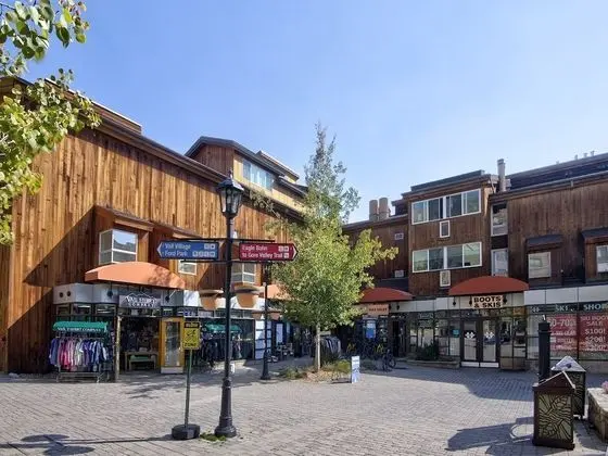 Daire (Lionshead Center)
