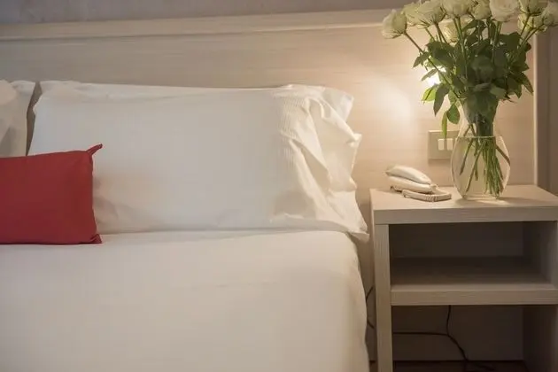 Comfort Büyük Yataklı Tek Kişilik Oda, 1 Büyük (Queen) Boy Yatak