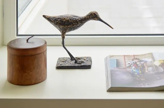 Superior Apart Daire