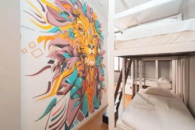 Ortak Ranzalı Oda, Karma Ranzalı Oda, Ortak Banyo (1 Bed in a 10 Bed Dorm)