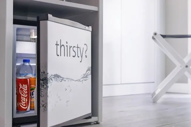 Superior Tek Büyük Yataklı Oda