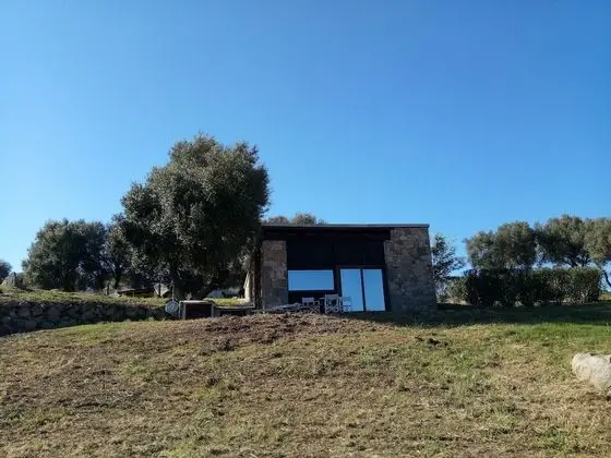 Deluxe Oda, 1 Yatak Odası