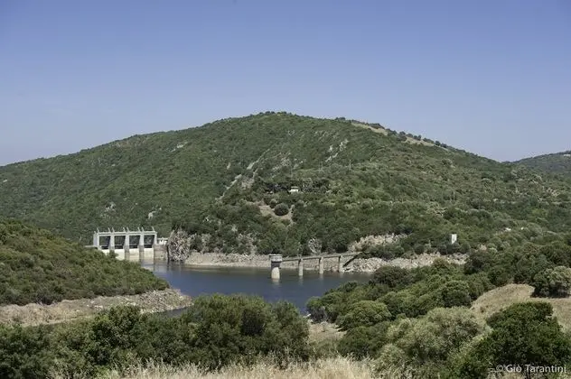 Deluxe Tek Büyük Yataklı Oda, Göl Manzaralı