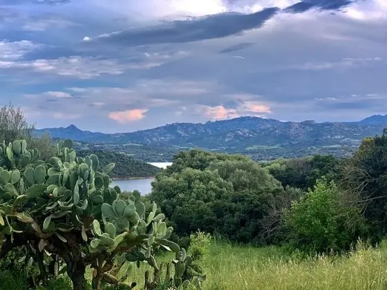 Superior Tek Büyük veya İki Ayrı Yataklı Oda, Göl Manzaralı