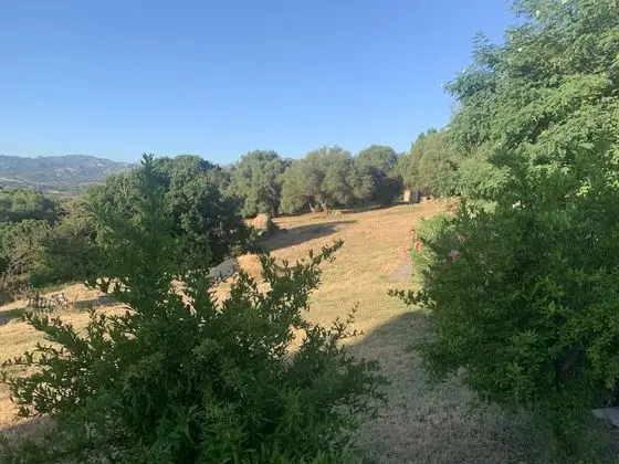 Superior Tek Büyük veya İki Ayrı Yataklı Oda, Göl Manzaralı