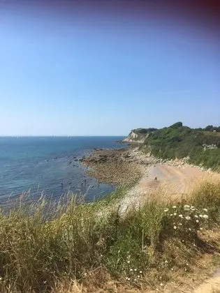 Tek Büyük Yataklı Oda, Banyolu/Duşlu, Bahçe Manzaralı