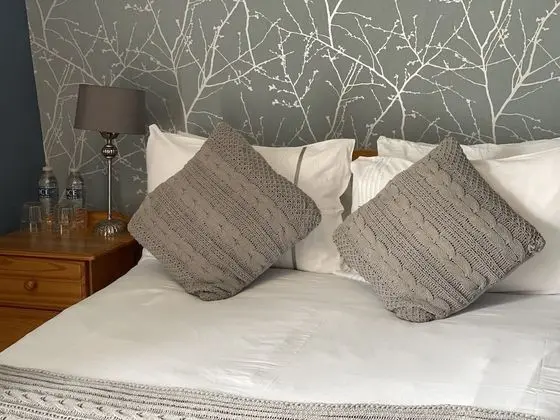 Deluxe Tek Büyük Yataklı Oda, Banyolu/Duşlu