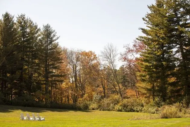 Luxury Süit, 1 En Büyük (King) Boy Yatak, Şömine