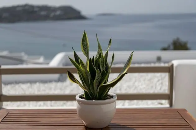 Junior Süit, Deniz Manzaralı