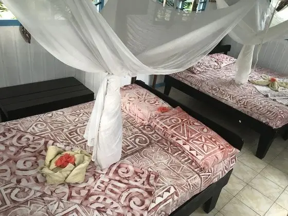 Basic Bungalov