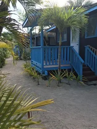 Basic Bungalov
