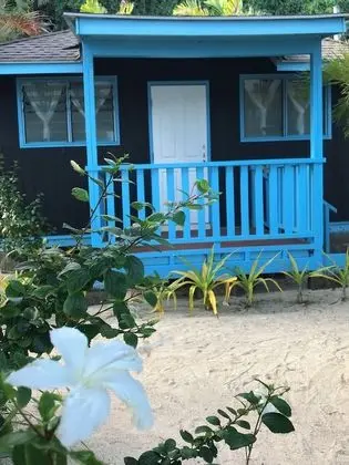 Basic Bungalov