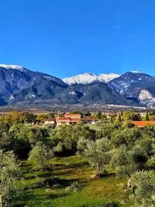 Superior Oda, Dağ Manzaralı