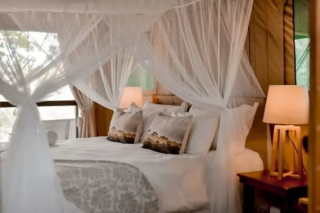 Luxury Çadır, Nehir Manzaralı