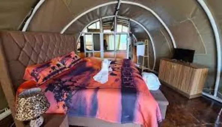 Deluxe Oda, 1 Büyük (Queen) Boy Yatak