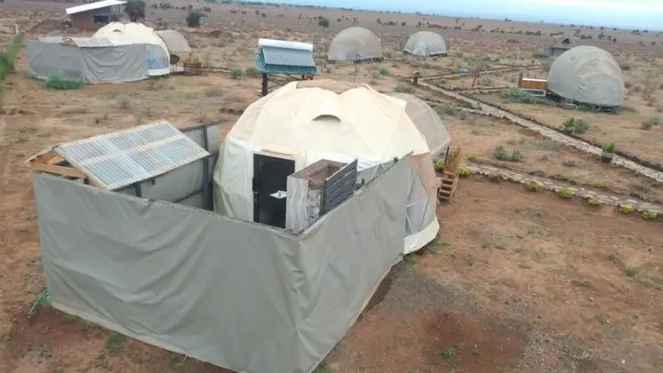 Superior Üç Kişilik Oda