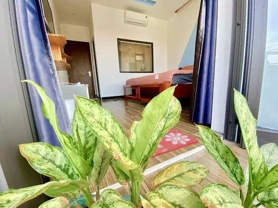 Deluxe Tek Büyük Yataklı Oda, 1 Büyük (Queen) Boy Yatak, Balkon, Şehir Manzaralı