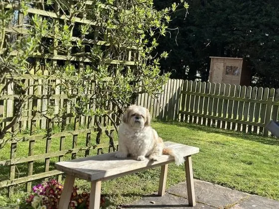 Ev, 2 Büyük (Queen) Boy Yatak