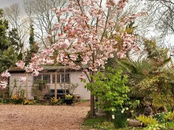 Tek Büyük Yataklı Oda, Banyolu/Duşlu (Front Room)
