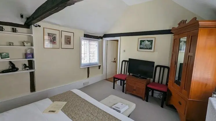 Tek Büyük Yataklı Oda, Banyolu/Duşlu (Garden Room)