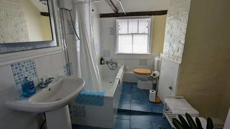 Tek Büyük Yataklı Oda, Banyolu/Duşlu (Garden Room)