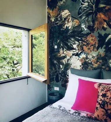 Butterfly Mini-Suite