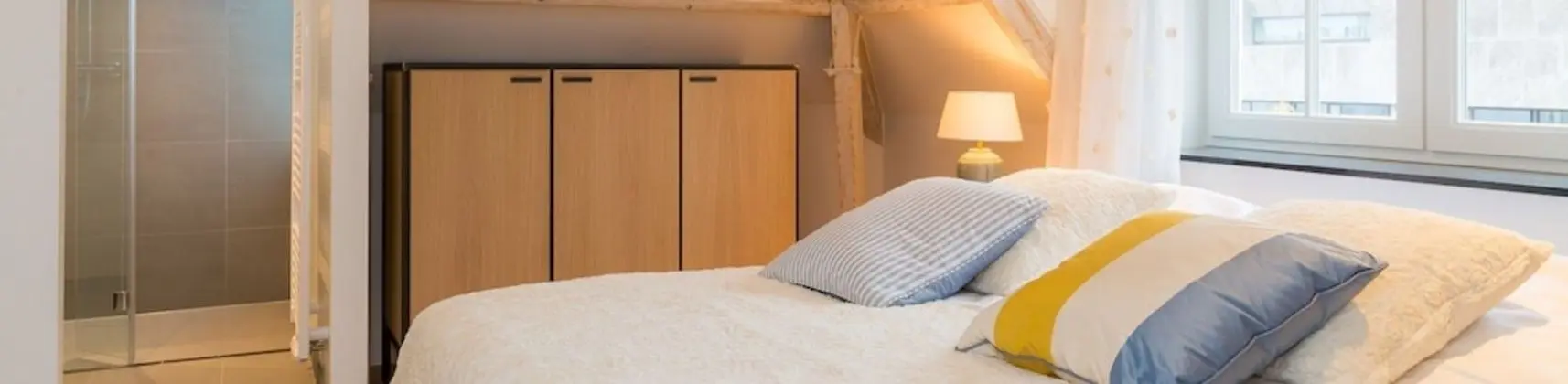 Çatı Katı Süiti (Penthouse)