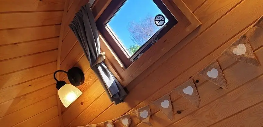 Oda, Ortak Banyo (Dog Pod)