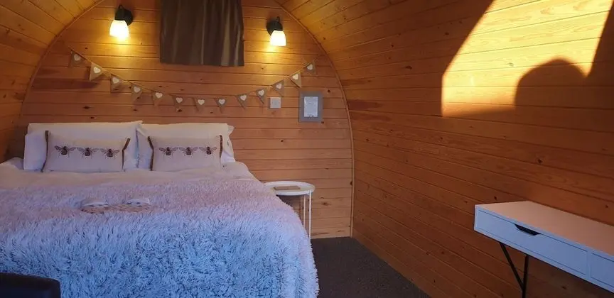 Oda, Ortak Banyo (Dog Pod)