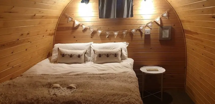 Oda, Ortak Banyo (Dog Pod)