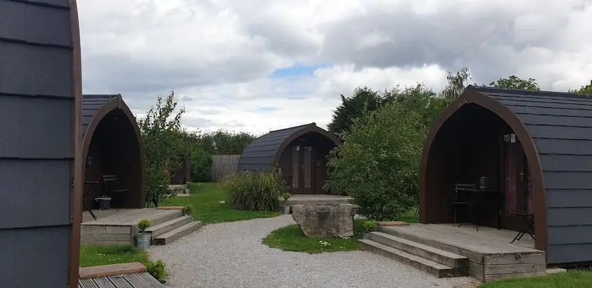 Oda, Ortak Banyo (Dog Pod)