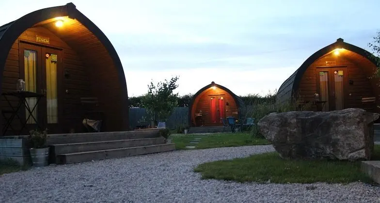 Oda, Ortak Banyo (Dog Pod)