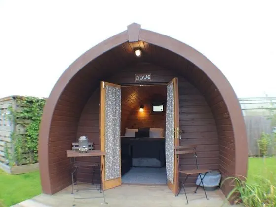 Oda, Ortak Banyo (Dog Pod)